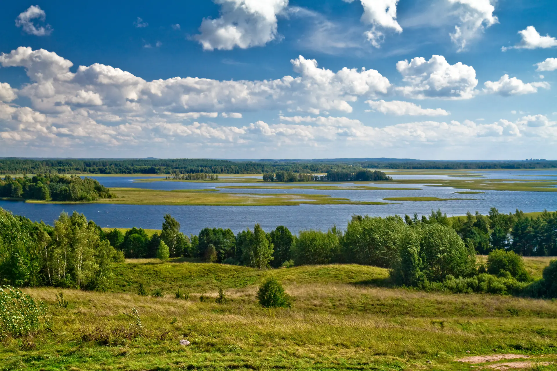 The Braslav lakes spread out below a meadow, islands scattered across the water.