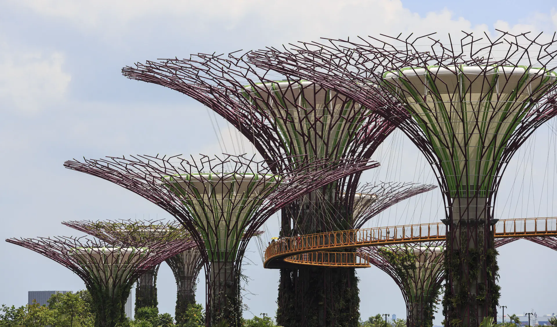 The Supertree Grove at Gardens by the Bay, steel canopies above the walkway.