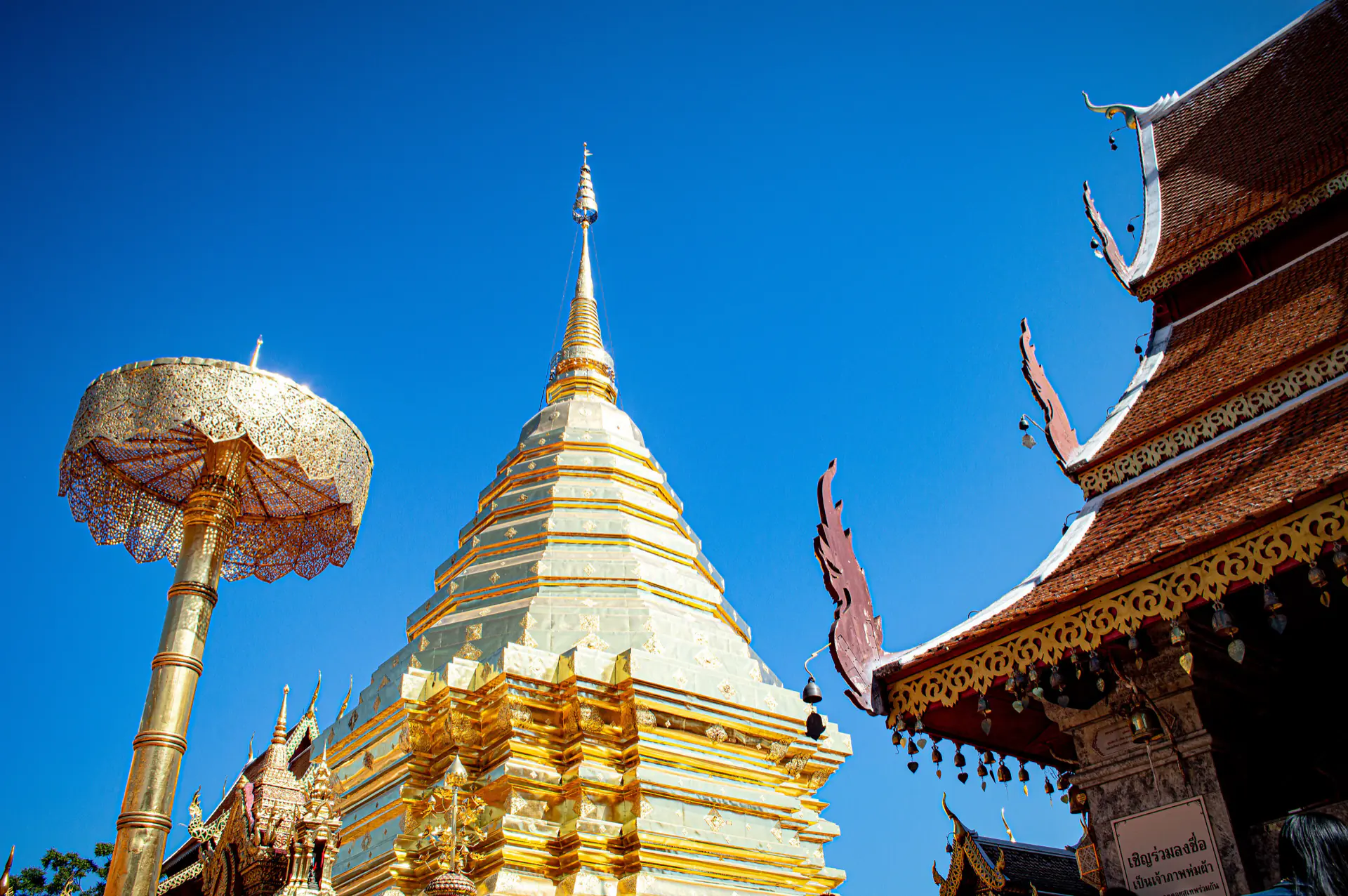 The gilded chedi of Wat Phra That Doi Suthep, parasols against a blue sky.